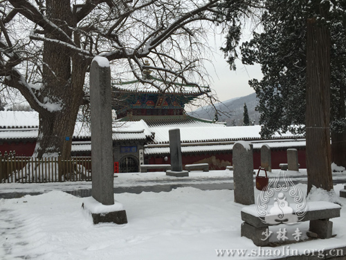 少林雪景:皑皑白雪庄严少林,冉冉氤氲清净我心