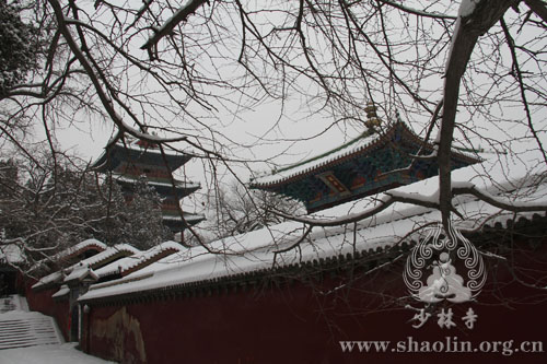 少林雪景:皑皑白雪庄严少林,冉冉氤氲清净我心