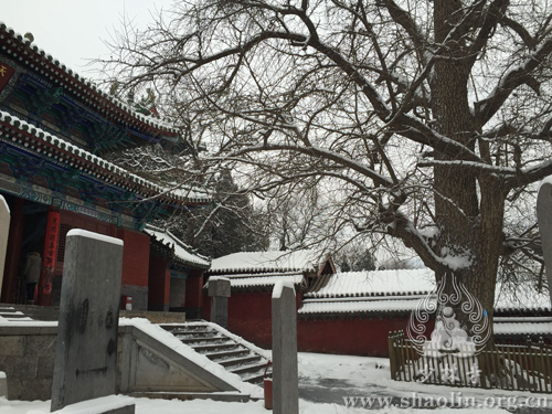 少林雪景:皑皑白雪庄严少林,冉冉氤氲清净我心