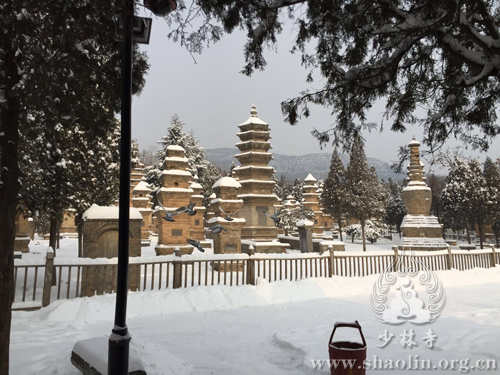 雪中的少林寺塔林,述说着如歌岁月