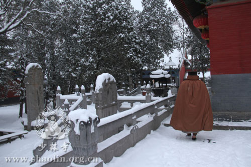 少林雪景:皑皑白雪庄严少林,冉冉氤氲清净我心