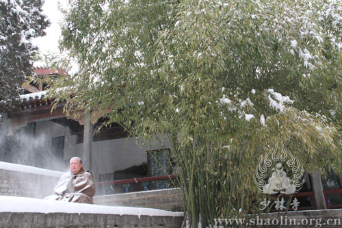 雪中参禅,悟明本心