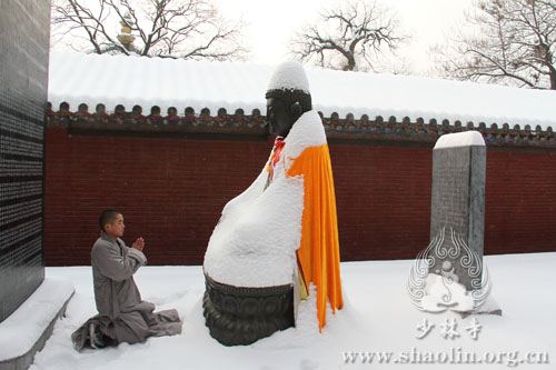 雪中礼佛,佛心我心